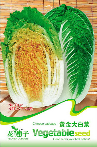 ƽײ