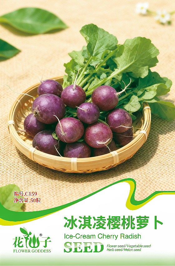 ������ӣ���ܲ�