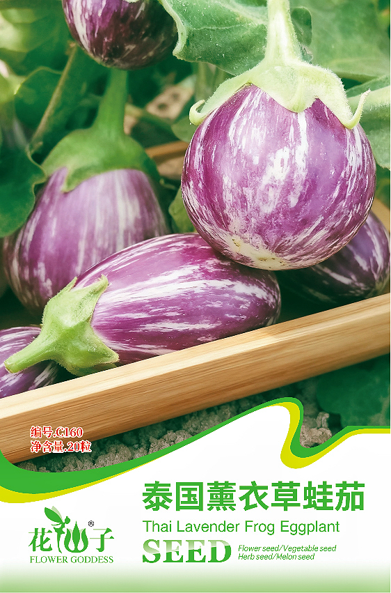 ̩��޹�²�����